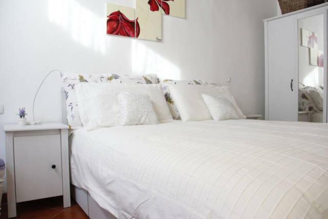 Art Apartment Santa Maria فلورنس المظهر الخارجي الصورة